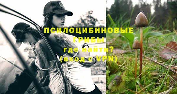метадон Осинники